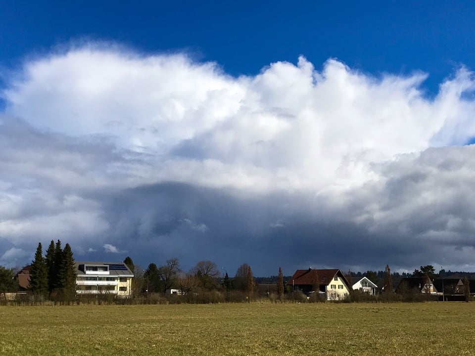 Gewitterwolke über dem Berner Seeland bei Worben BE. Rund herum blauer Himmel und davor eine Wiese.