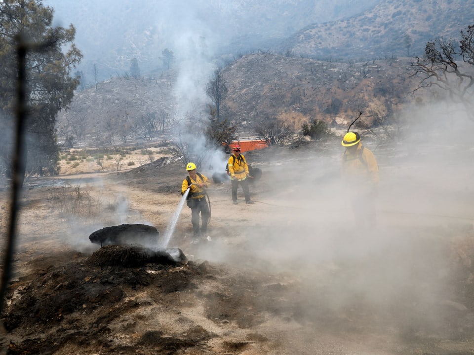 Feuerwehrleute löschen Brand bei Los Angeles