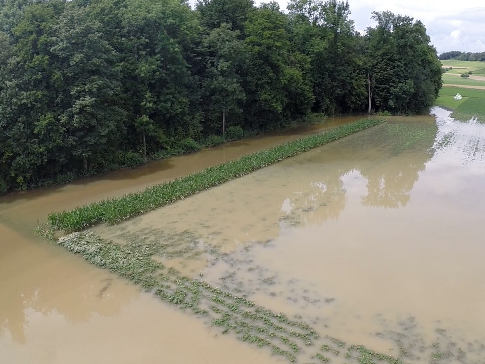 überflutete Felder