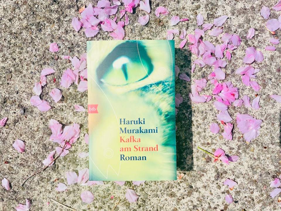 Der Roman «Kafka am Strand» von Haruki Murakami liegt auf Kirschblüten