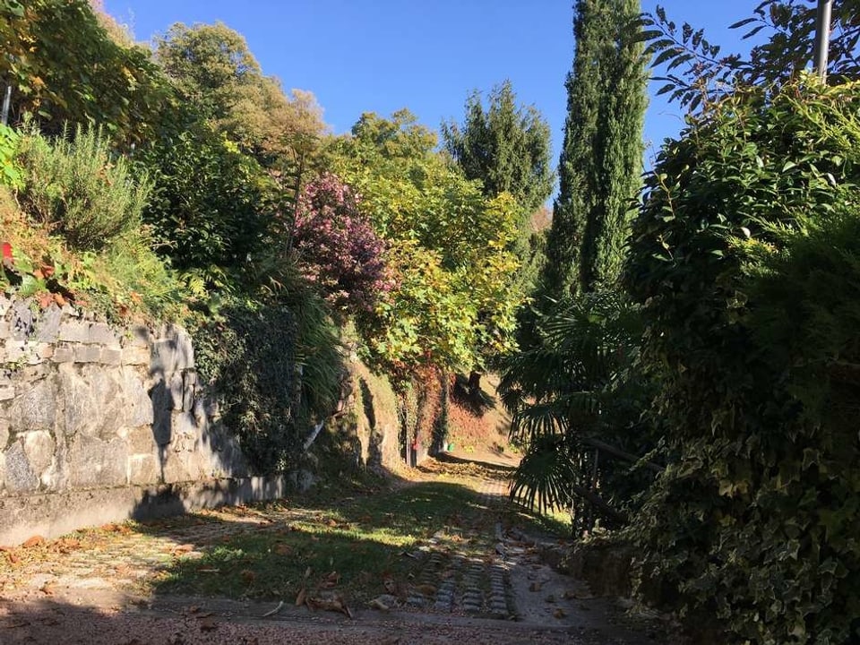Einfahrt zu einem Rustico in Bioggio, Malcantone