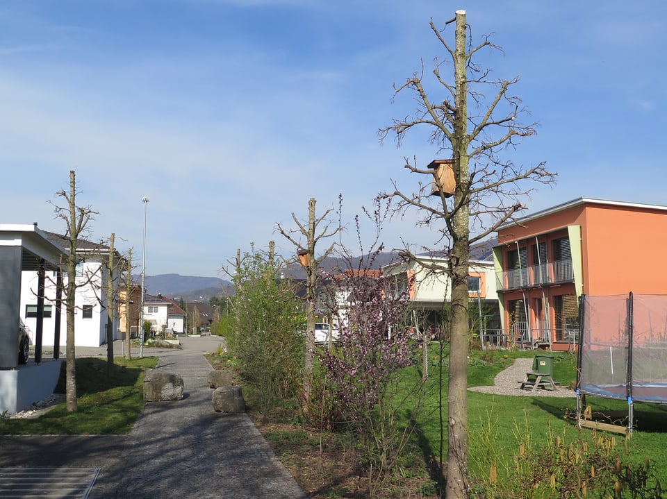 Spazierweg von Bäumen gesäumt, daneben Einfamilienhäuser