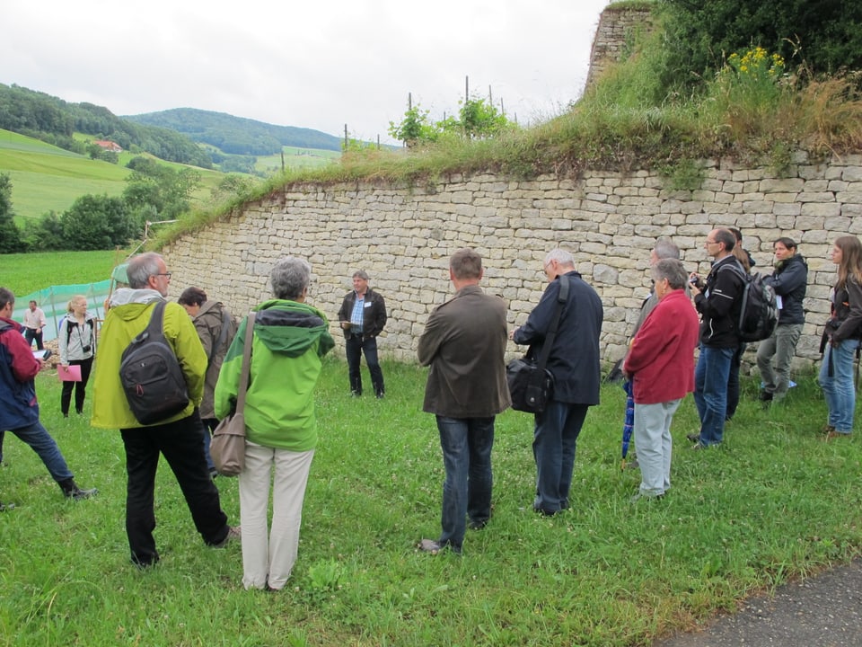 Das Interesse an den Trockensteinmauern in Oberflachs ist gross. Neben Journalisten haben sich am Montag auch Vertreter von Bund, Kanton, Gemeinde, Jurapark, Pro Natura und weiteren Organisationen über den Stand der Arbeiten informieren lassen. 