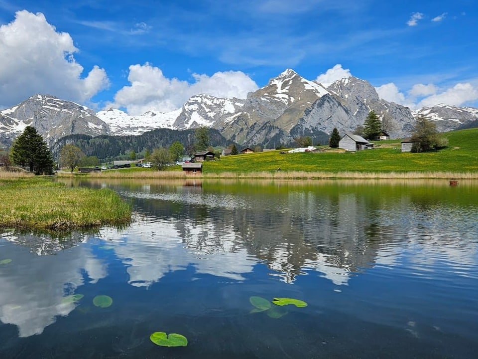 Idyllische Landschaft mit Bergblick, See und Seerosenblättern im Vordergrund.