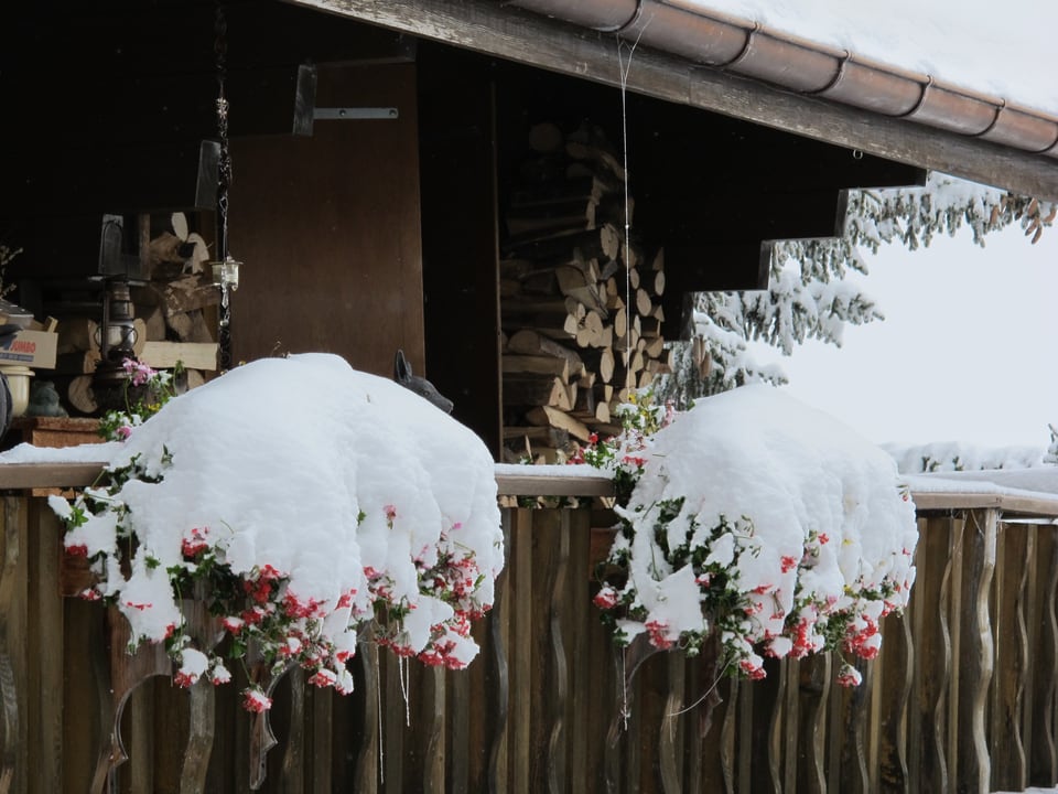 Ein Balkon mit verschneiten Blumenkistli