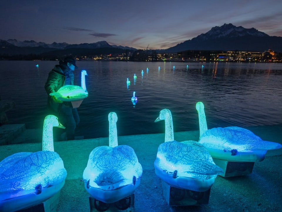 Imposante Kunstinstallation auf dem See mit künstlich leuchtenden Schwänen