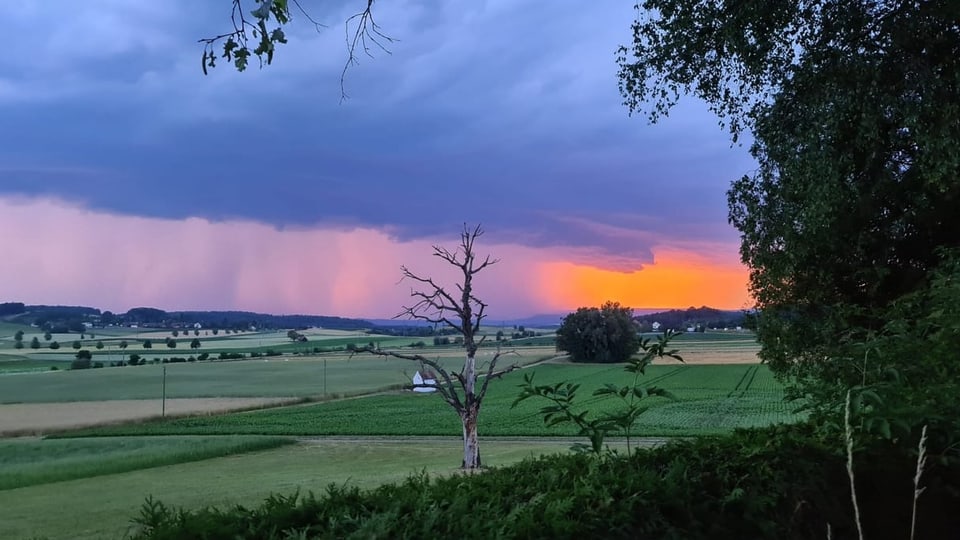Henggart/ZH Gewitterwolke mit sichtbarem Regenvorhang über dem Zürcher Weinland.