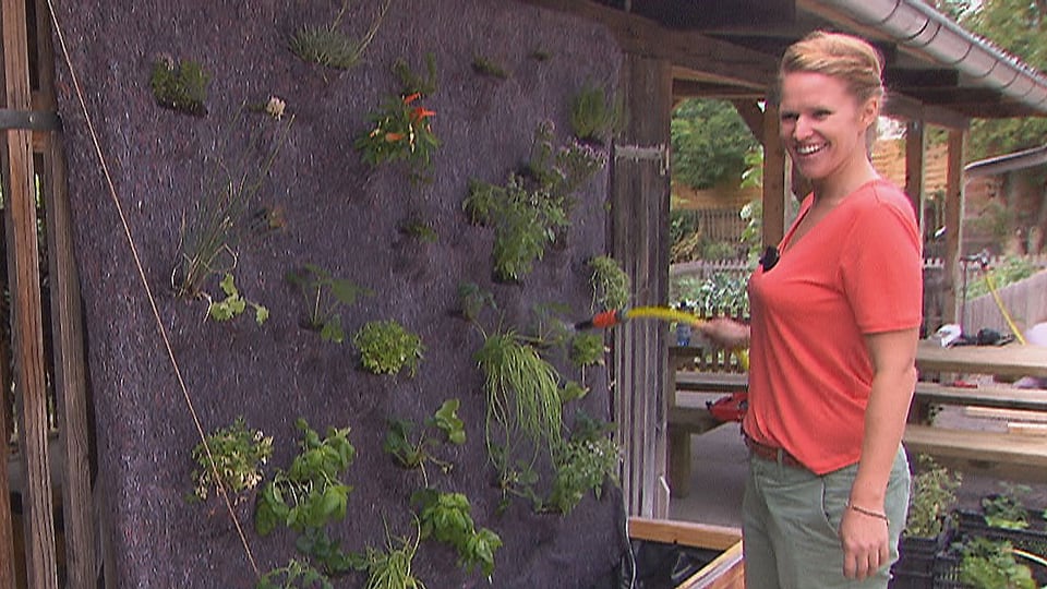 Kathrin Hönegger baut einen vertikalen Garten