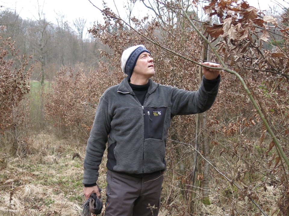 Markus Lack steht in einem jungen Wald mit Bäumen, die etwas grösser sind als er selbst.