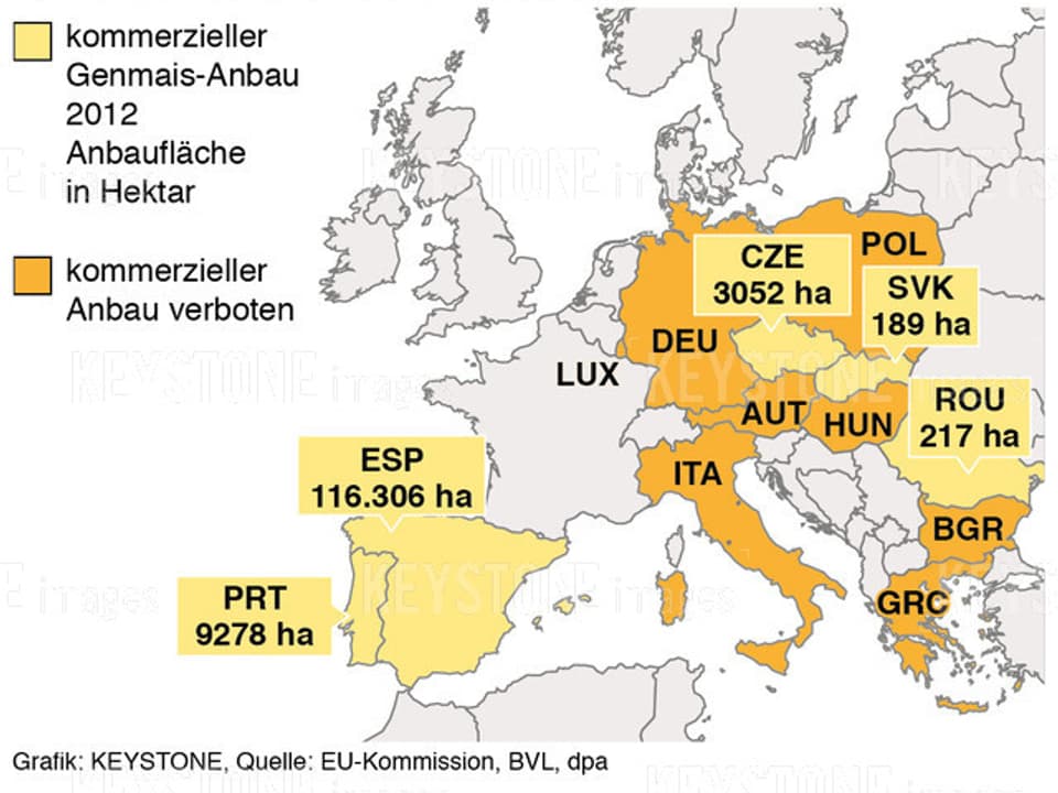 Europakarte mit eingefärbten Flächen wo kommerzieller Genmais-Anbau erlaubt und verboten ist.