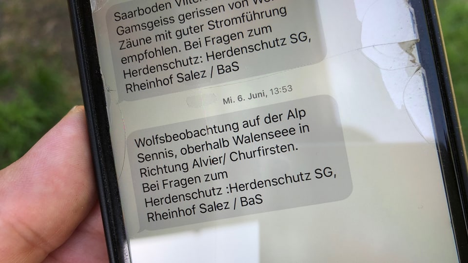 SMS auf einem Handy welche vor einem Wolf warnt