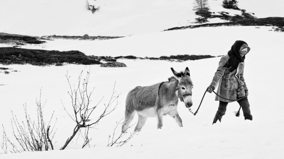 Ein Mädchen geht mit einem Esel durch den Schnee.