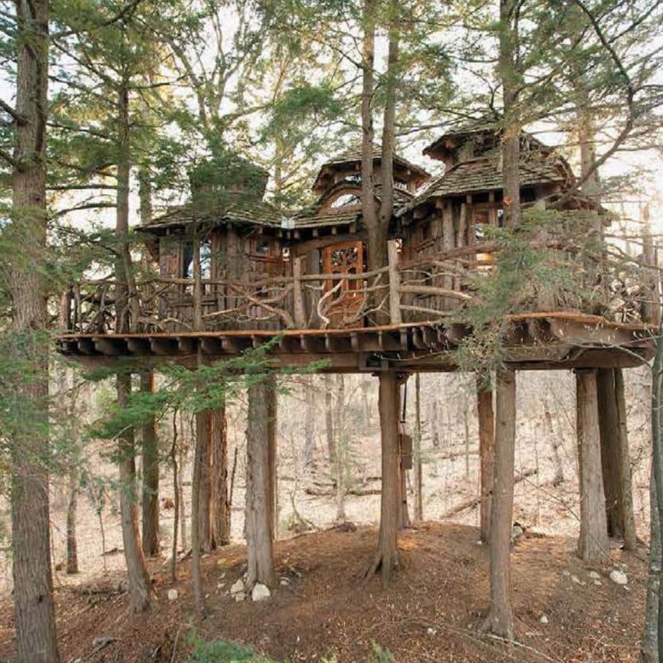 Längliches Baumhaus auf mehreren Stämmen gebaut inmitten von Bäumen