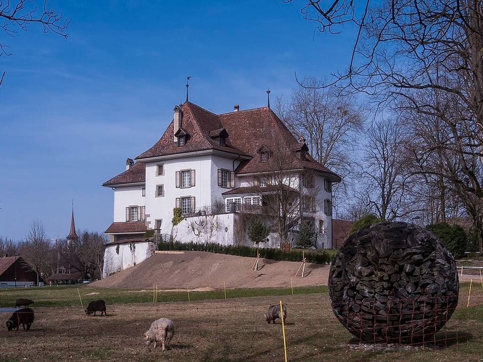 Schloss mit grasenden Schafen im Vordergrund.