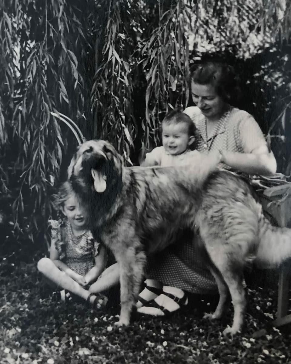 Eine Mutter mit zwei Kindern und einem Schäferhund.
