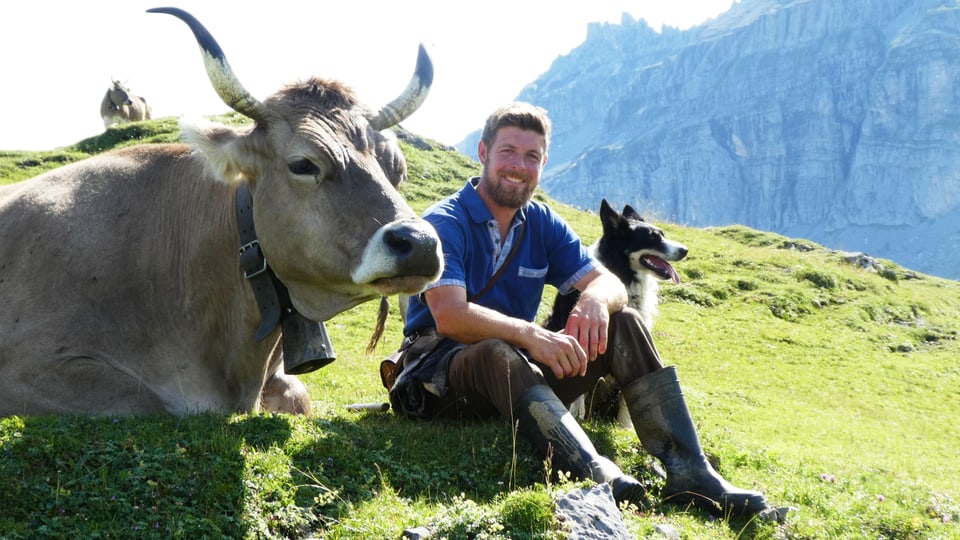 Christian Gwerder sitzt auf einer Alpwiese. Links von ihm der Hund, rechts eine Kuh. 
