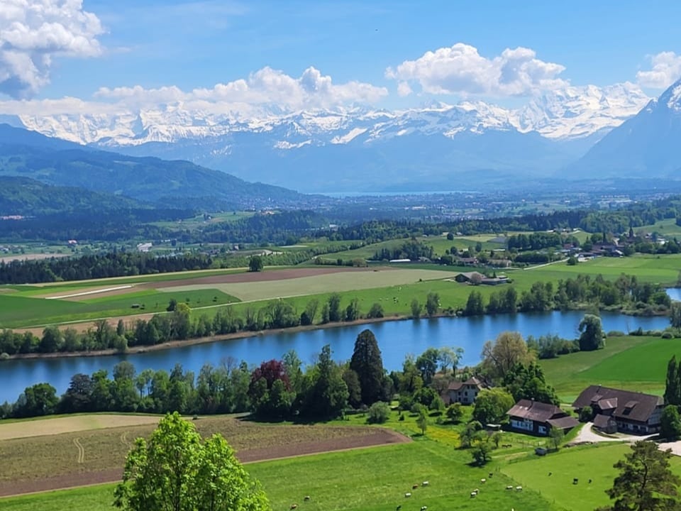Landschaftsbild mit See, Feldern und Alpen im Hintergrund