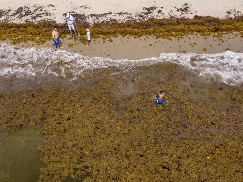 Strand von Lake Worth, Florida, von oben: voller Algen, ein Junge im Wasser.
