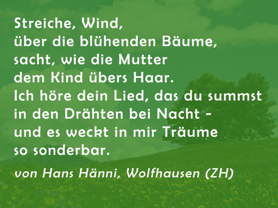 Gedicht von Hans Hänni: Streiche, Wind, über die blühenden Bäume, sacht, wie die Mutter dem Kind übers Haar. Ich höre dein Lied, das du summst in den Drähten bei Nacht - und es weckt in mir Träume so sonderbar.