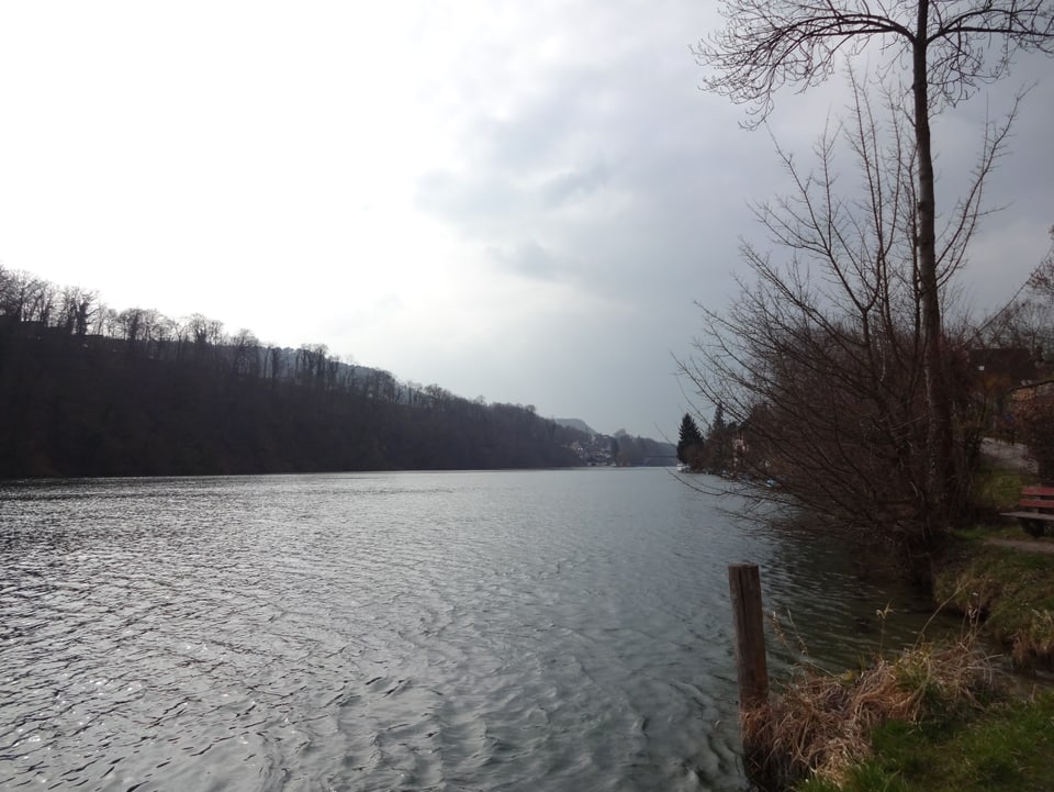 Schöne Flusslandschaft an der Thur.
