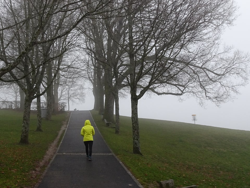 Mensch mit Regenschutz spaziert einen Weg hinauf. Dieser ist feucht, darum herum Nebel und Bäume. Die Sicht ist schlecht. 