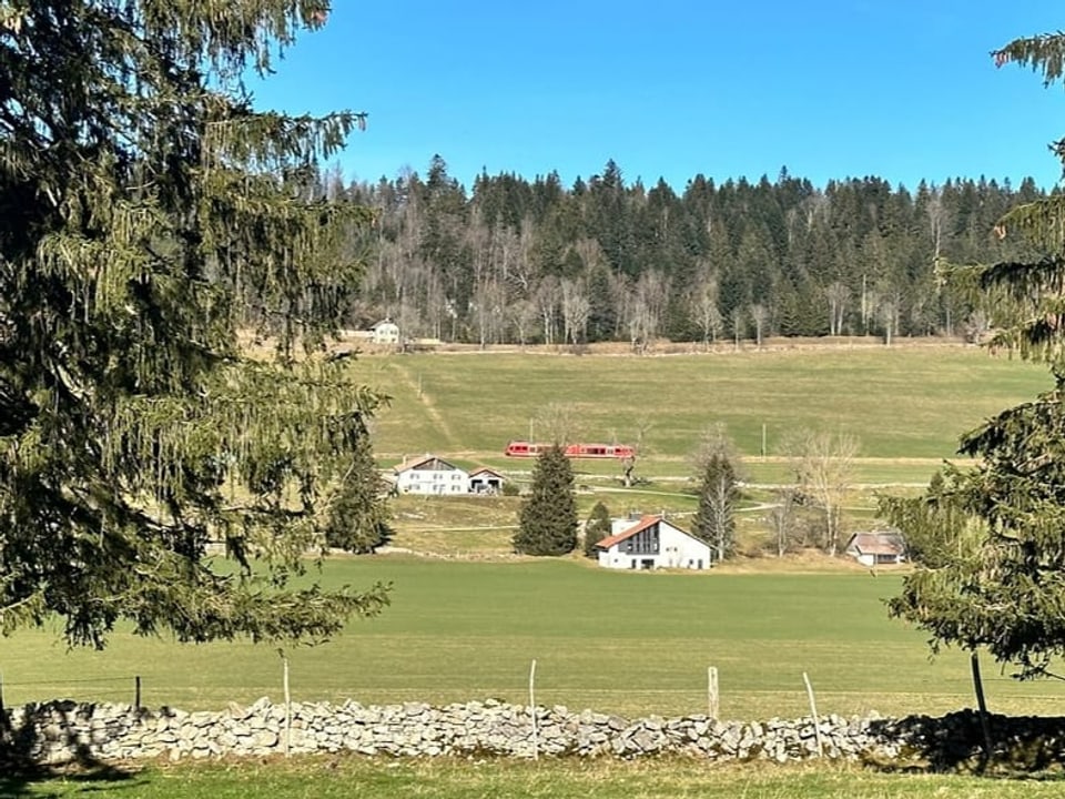 Grüne Juralandschaft mit Zug im Hintergrund.