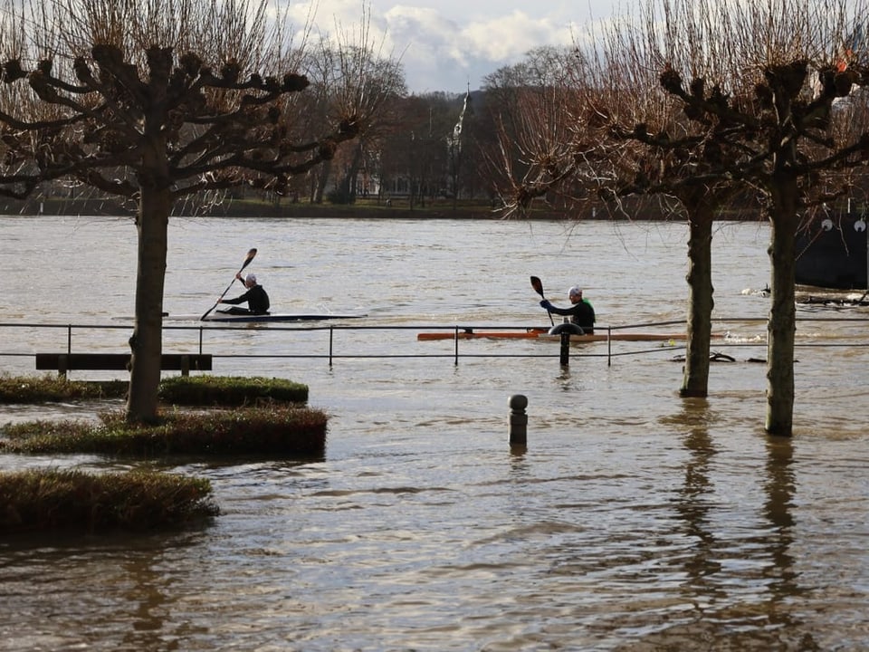 Zwei Kajakfahrer in überschwemmtem Gebiet.