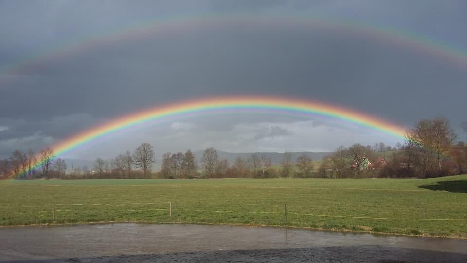 Doppelter Regenbogen über einem Feld