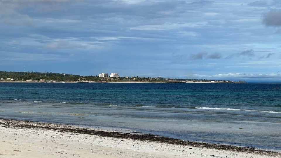 Beiger Strand mit braunen Algen und dahinter blaues Meer. Auf einer Halbinsel sind weisse Gebäude zu sehen.