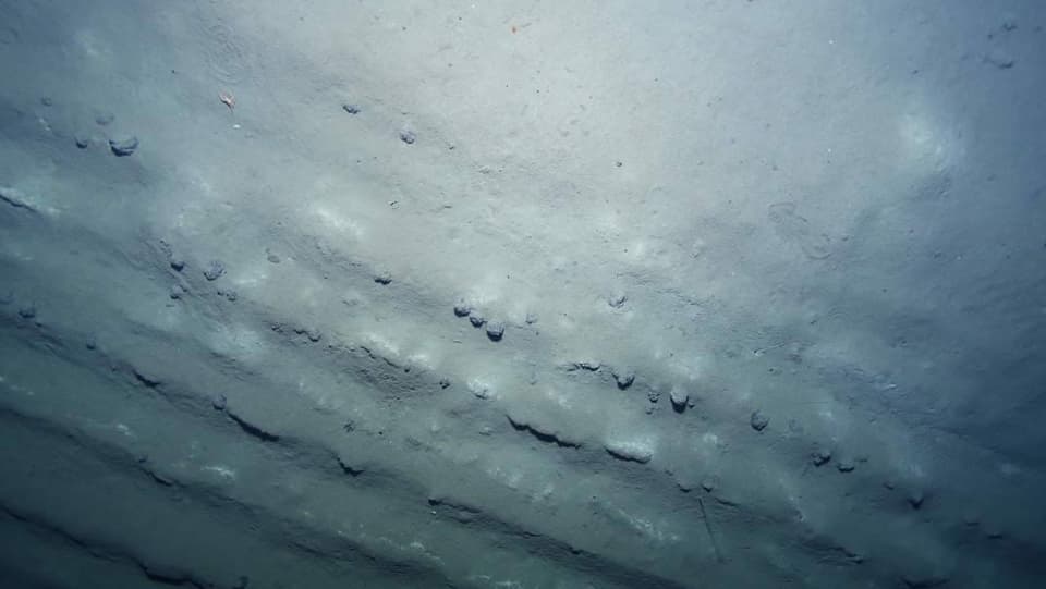 Ein Bild aus 4000m Tiefe unter Meereshöhe: Auf dem Meeresboden sind gleichmässige Gräben zu sehen.