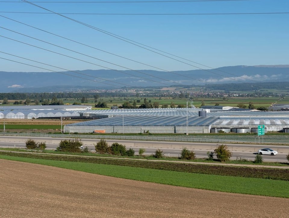 Greenhouses behind street. Law in the background