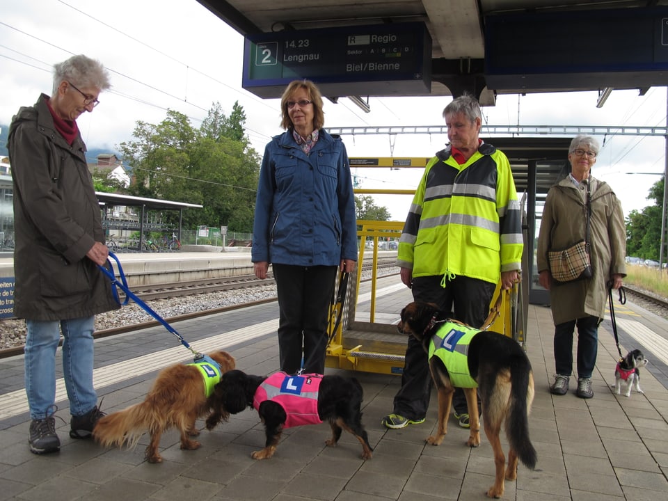 Wie ruhig bleibt der Hund, wenn der Zug vorbeifährt? Übung am Bahnhof Grenchen