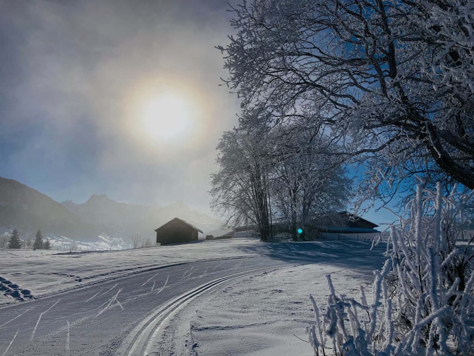 Spezielle Winterstimmung an der Hochnebelgrenze