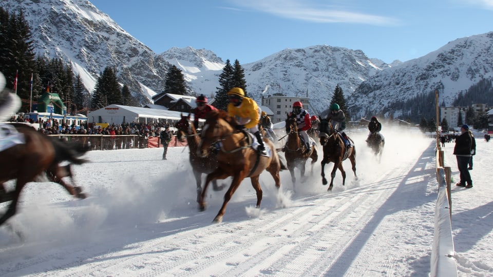 Pferde auf dem Schnee, Bild von einem grüheren Rennen.