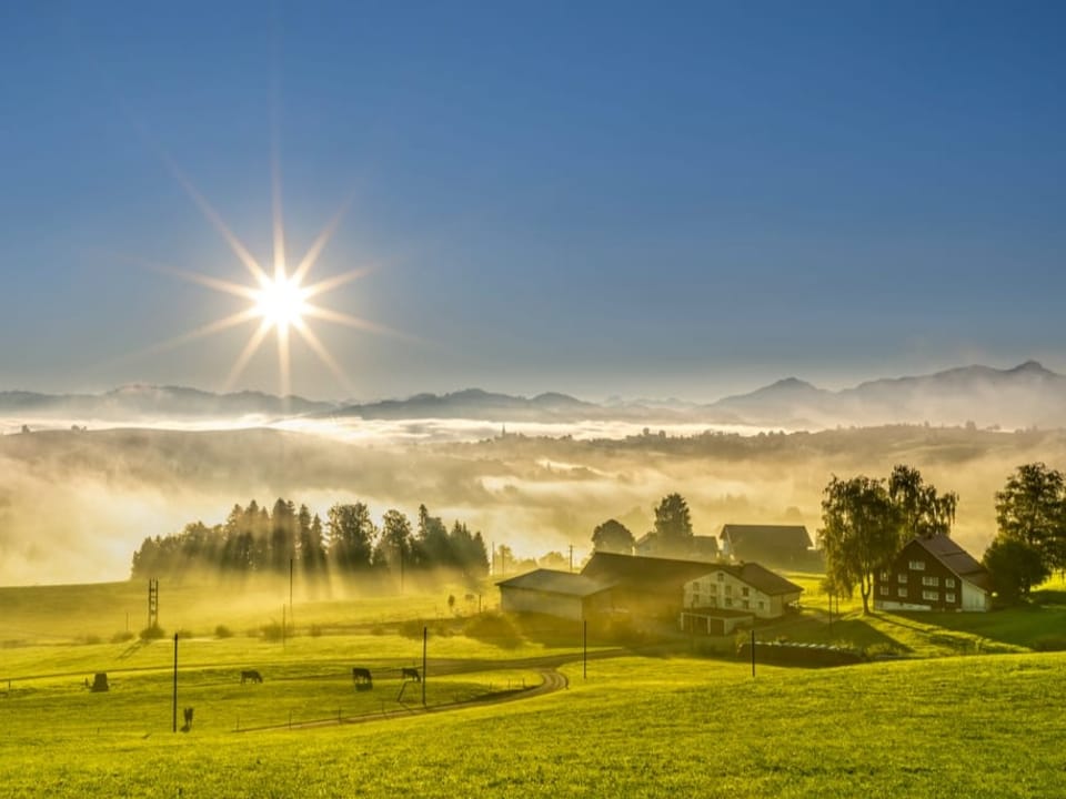 Grüne Wiese mit Nebelfeldern am Horizont. Dahinter geht die Sonne am blauen Himmel unter.