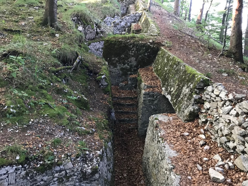 Schützengraben auf dem Spitzenflüeli. 