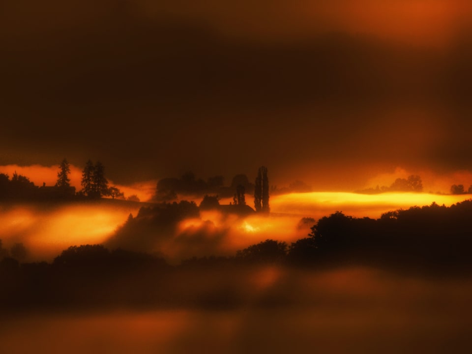 Die Morgensonne beleucht Nebel und Wolke, alles leuchtet gelb orange.