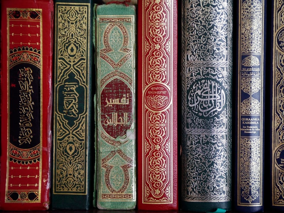 Auf dem Bild sind aneinandergereihte, alt anmutende Bücher mit arabischen Aufschriften zu sehen.