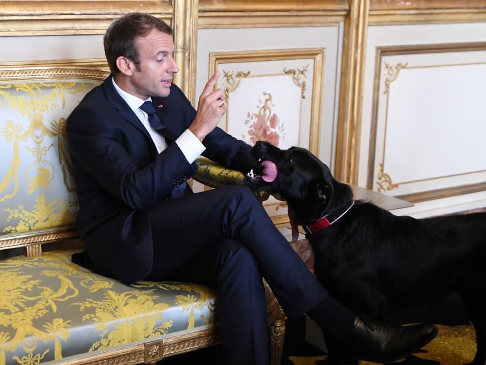 Macron und sein Hund Nemo.