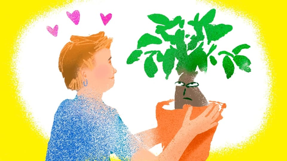 Illustration: Frau Hält einen Topf mit einem Bonsai