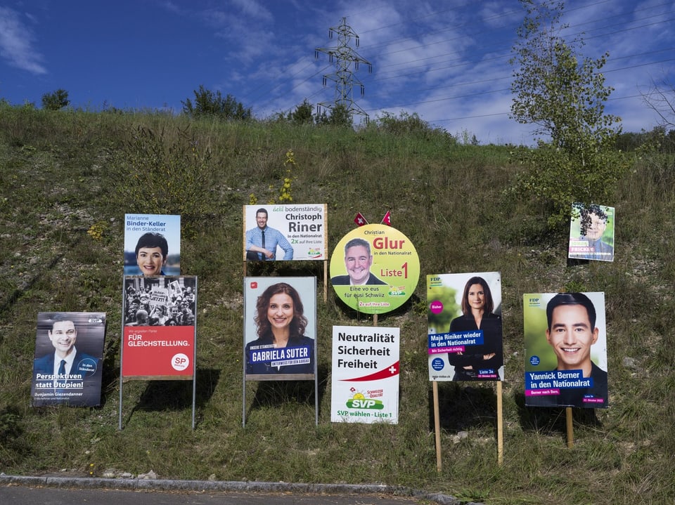 Mehrere Wahlplakate von verschiedenen Parteien sind an einem Grashang aufgestellt.