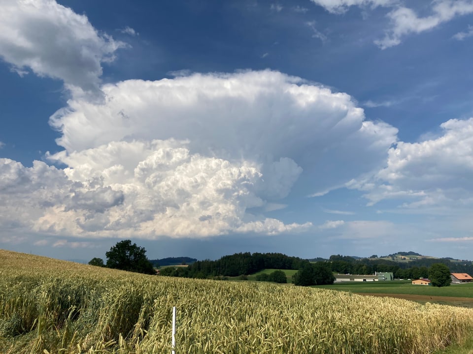 Wolke wie ein Atompilz