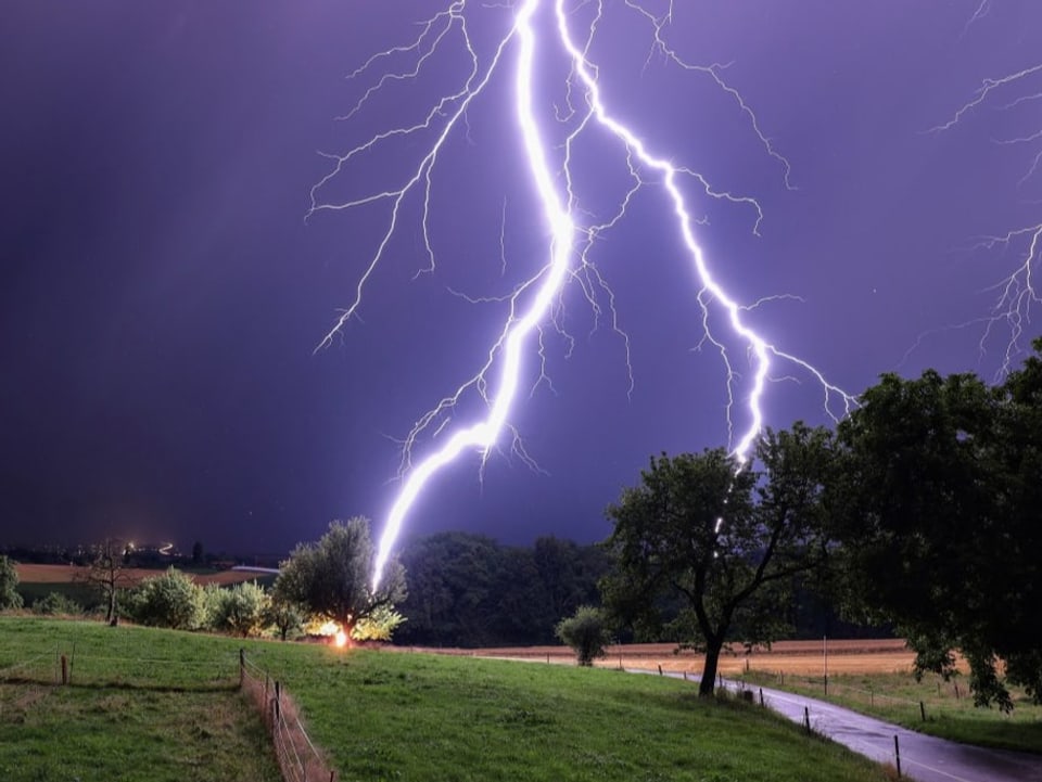 Nachthimmel in violett mit hellem Blitz, der in einen Baum einschlägt. 