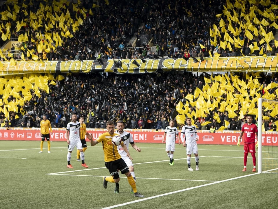 Spielerduell zwischen YB und Lugano in vollem Stadion