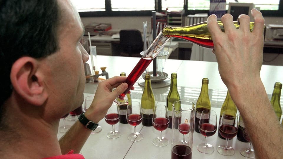 Ein Önologe füllt Wein in eine Ampulle.