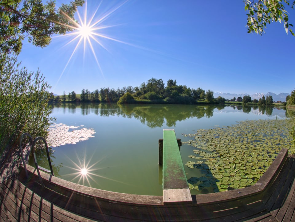 Die Sommersonne wird an der glatten Oberfläche einens Sees gespiegelt. 