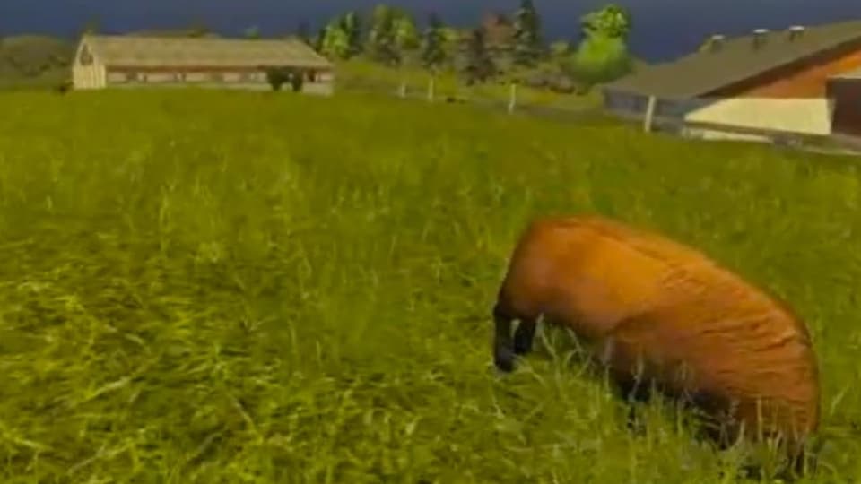 Ein Screenshot aus dem Landwirtschafts-Simulator 2013, der eine Wiese zeigt mit einer Art Schaf.