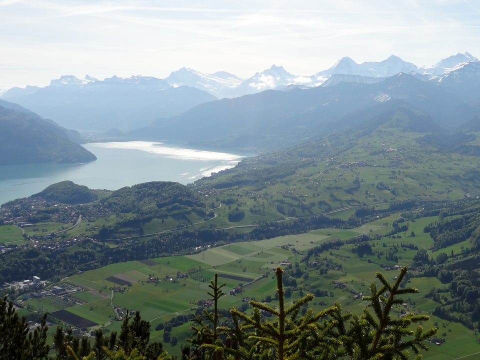 Blick vom Berg auf grüne Wiesen, Wälder und Felder weit unten. Links ein See und hinten schroffe Berge des Berner Oberlandes. 