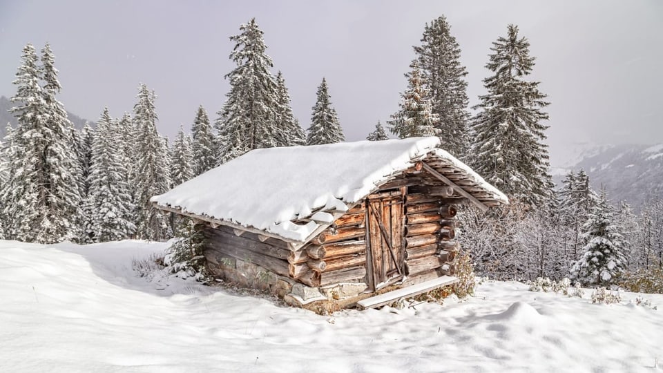 Stall im Schnee