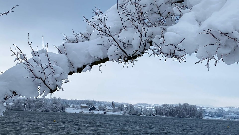 Schnee bis ins Flachland Blick über den Zürichsee zur Insel Ufenau.